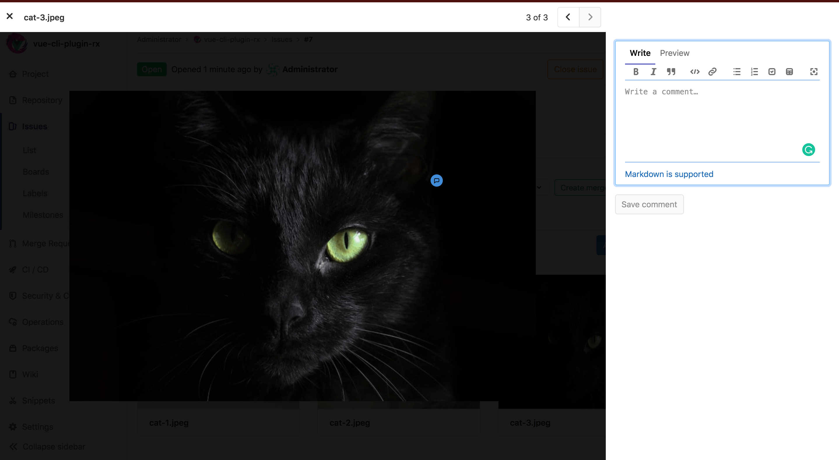 Design management · Issues · Project · User · Help · GitLab