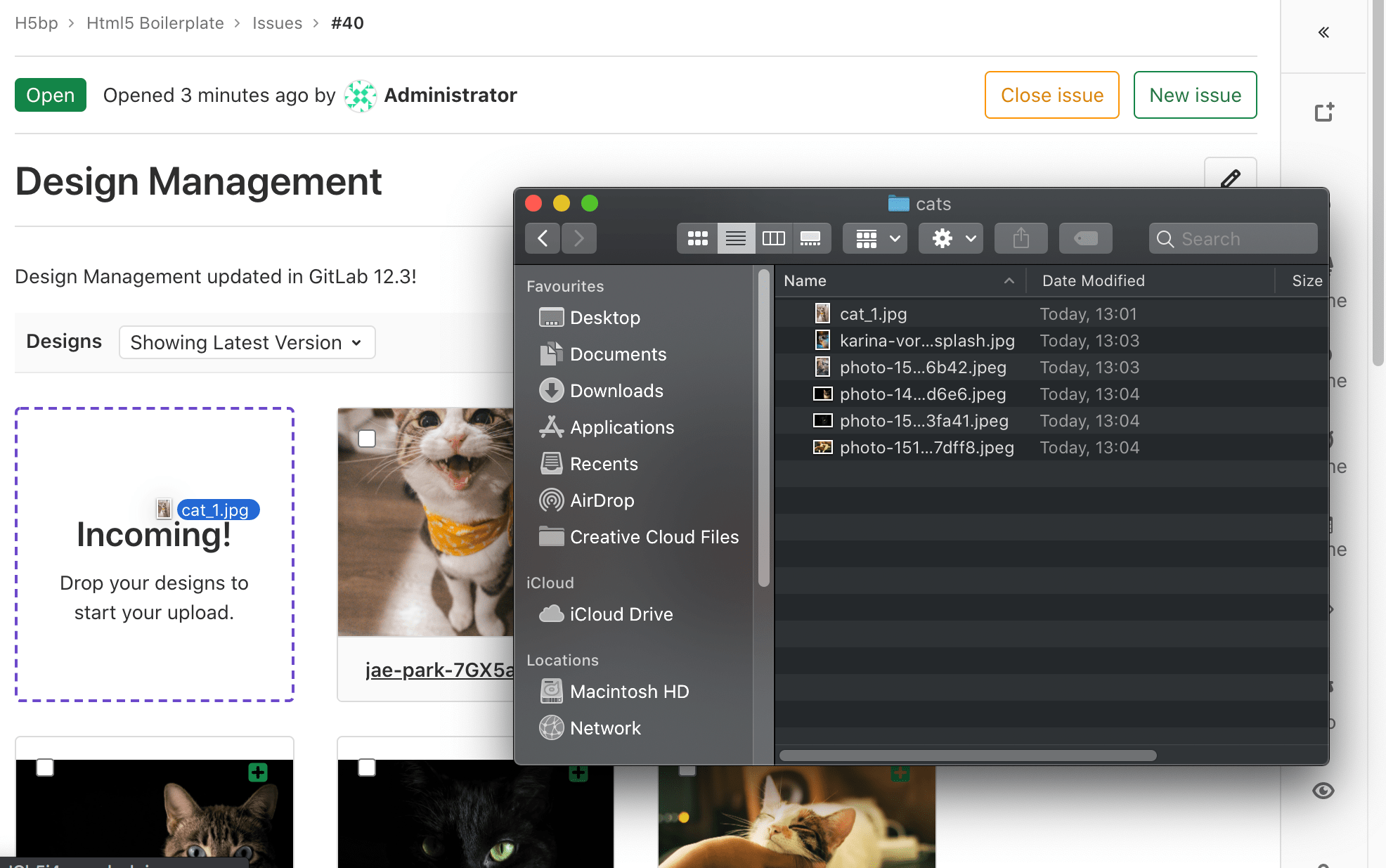 Design management · Issues · Project · User · Help · GitLab